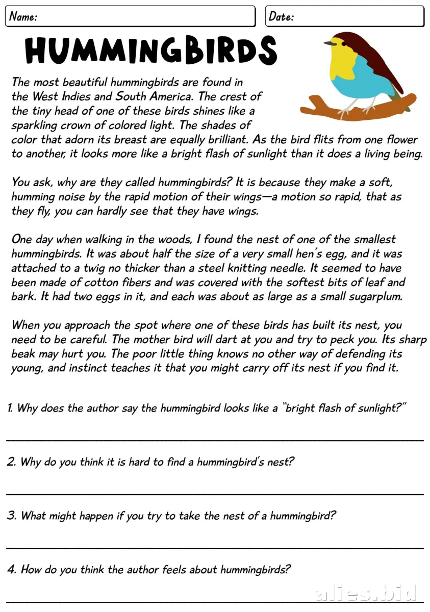 Free Printable 5th Grade Worksheet Free Print #13