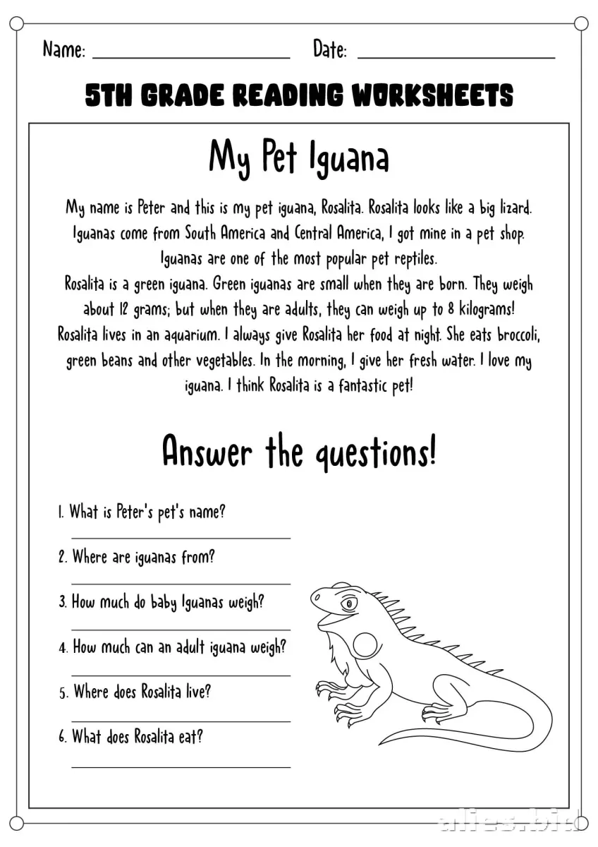Free Printable 5th Grade Worksheet Free Print #10