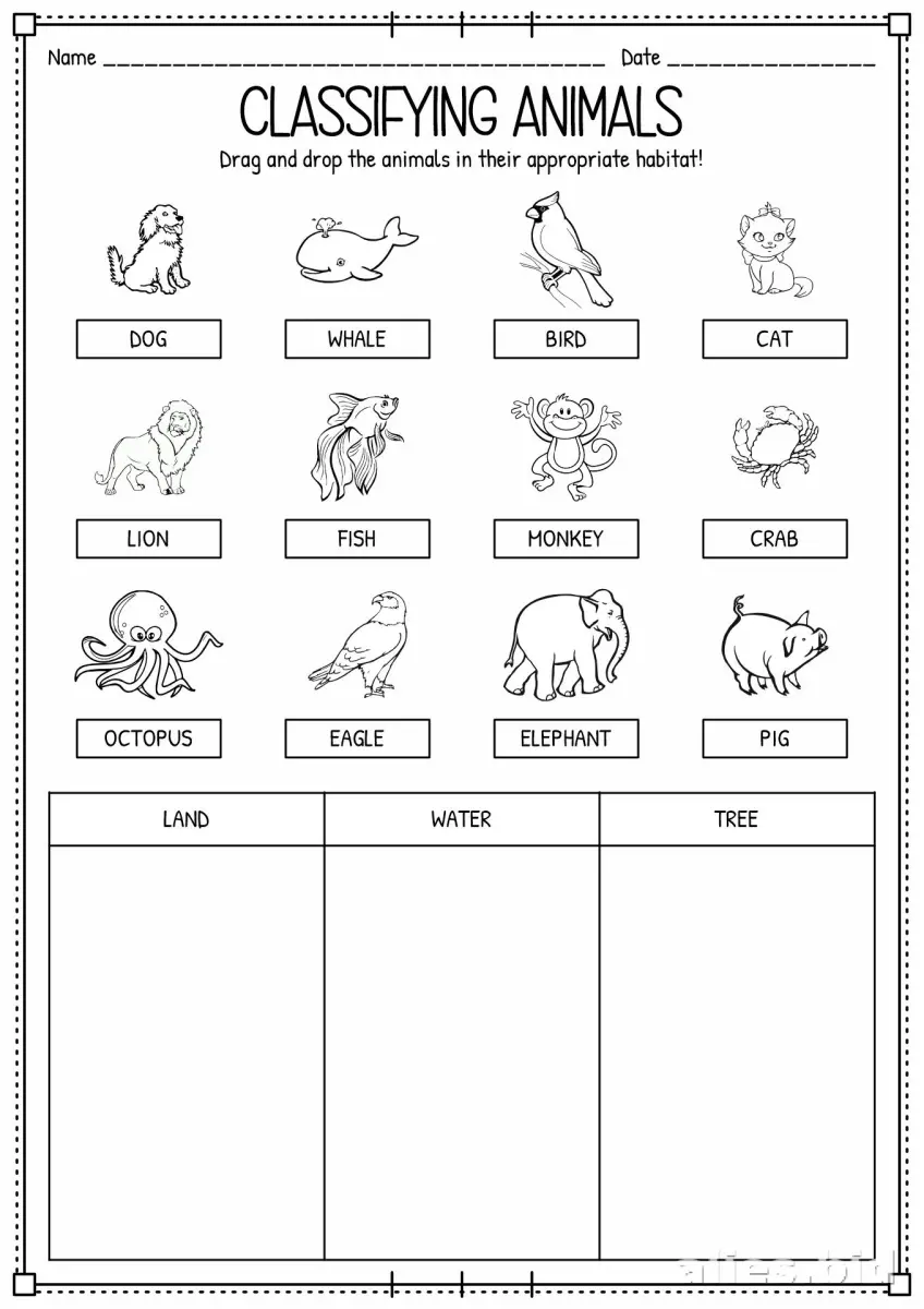 Free Printable Classify Activity Sheet Free Worksheet #3