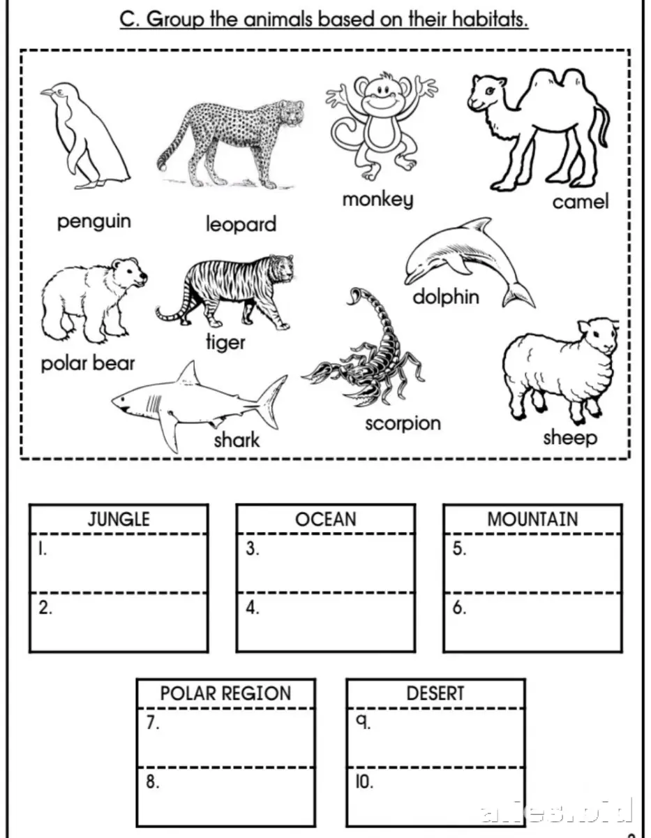 Free Printable Classify Activity Sheet Free Worksheet #5