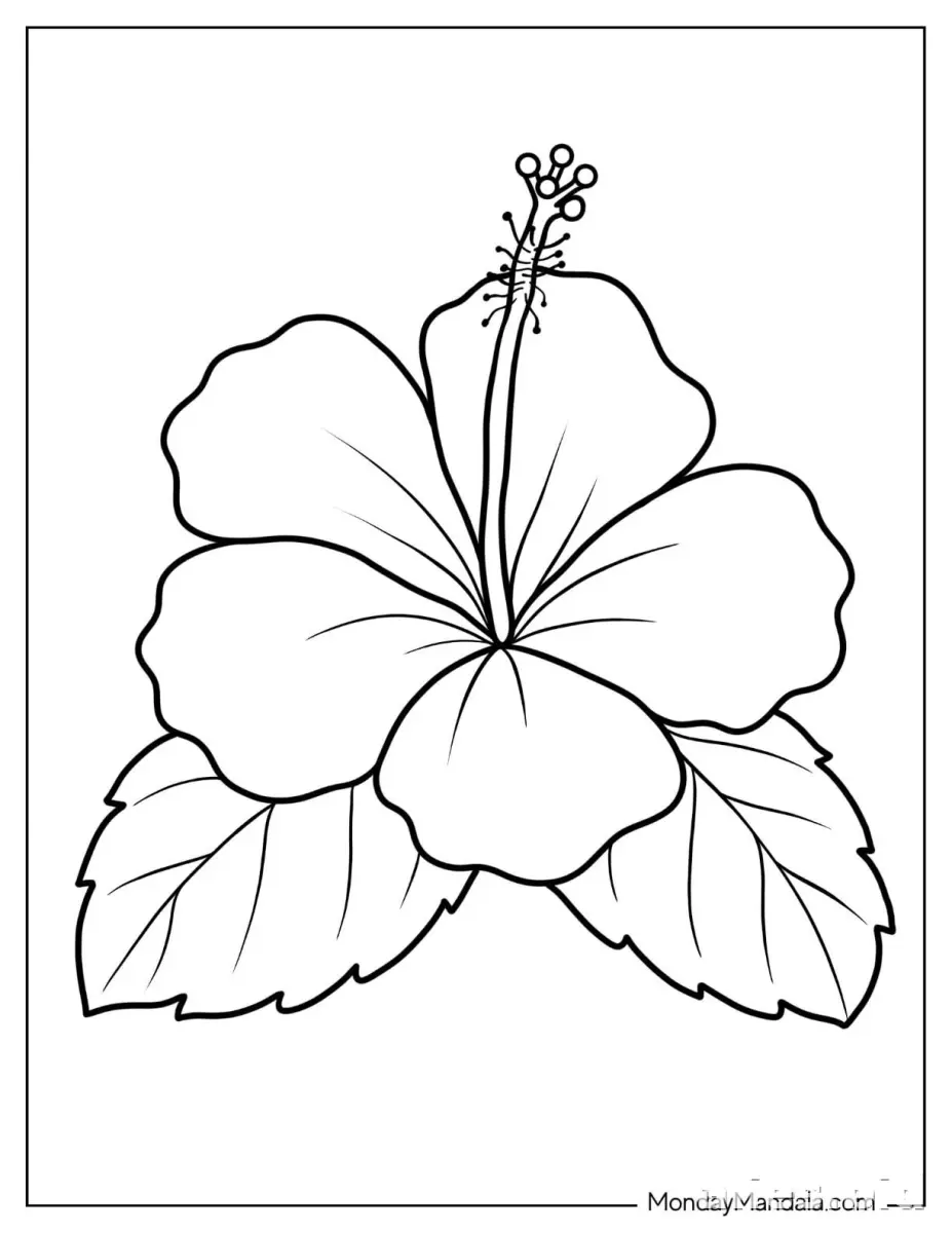 Free Printable Flower Coloring Pages For Kids Free Worksheet #14