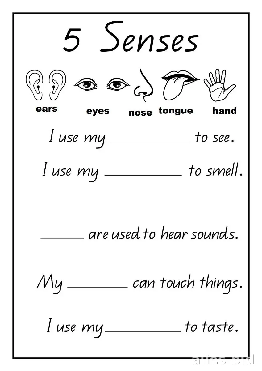 Free Printable Homeschool Worksheet Free Print #6