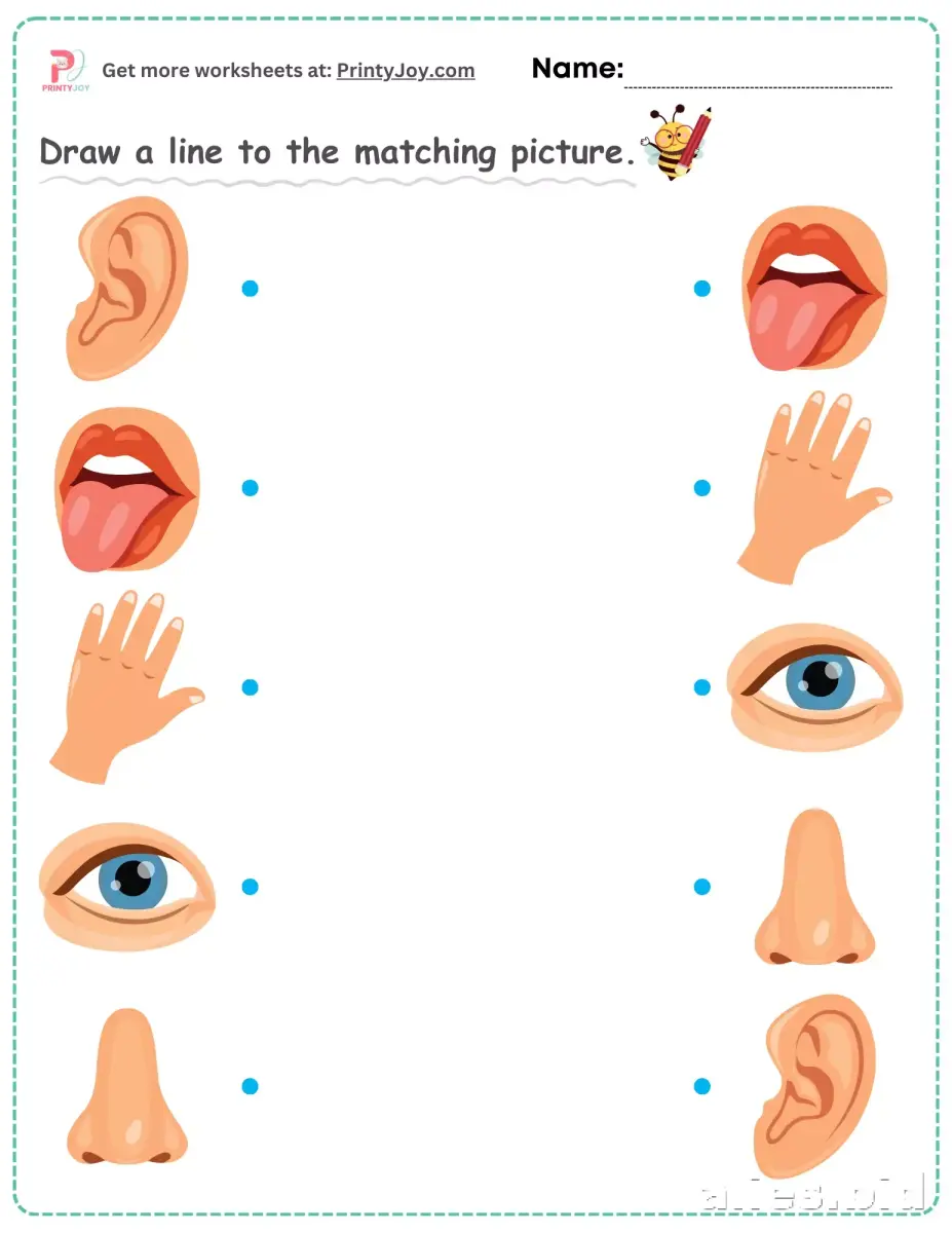 Free Printable Matching Game Sheet Free Print Worksheet #4