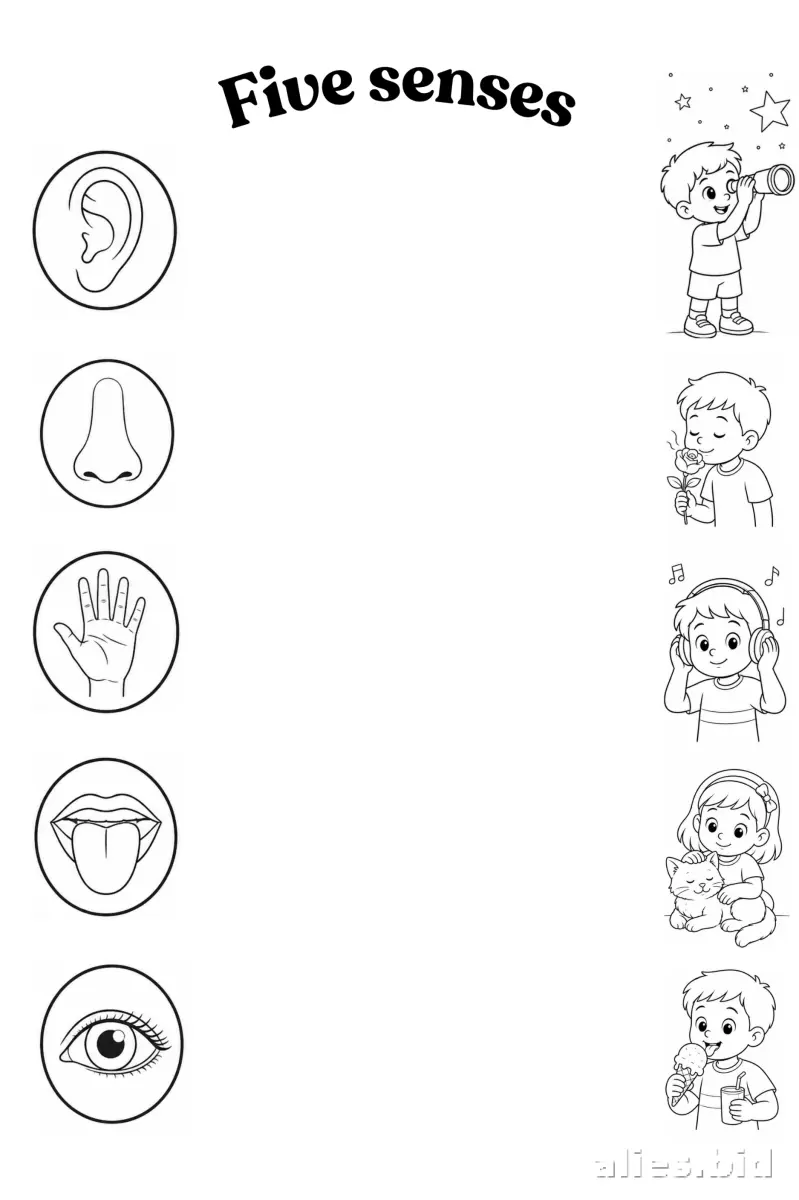 Free Printable Montessori Worksheet Free Print #3