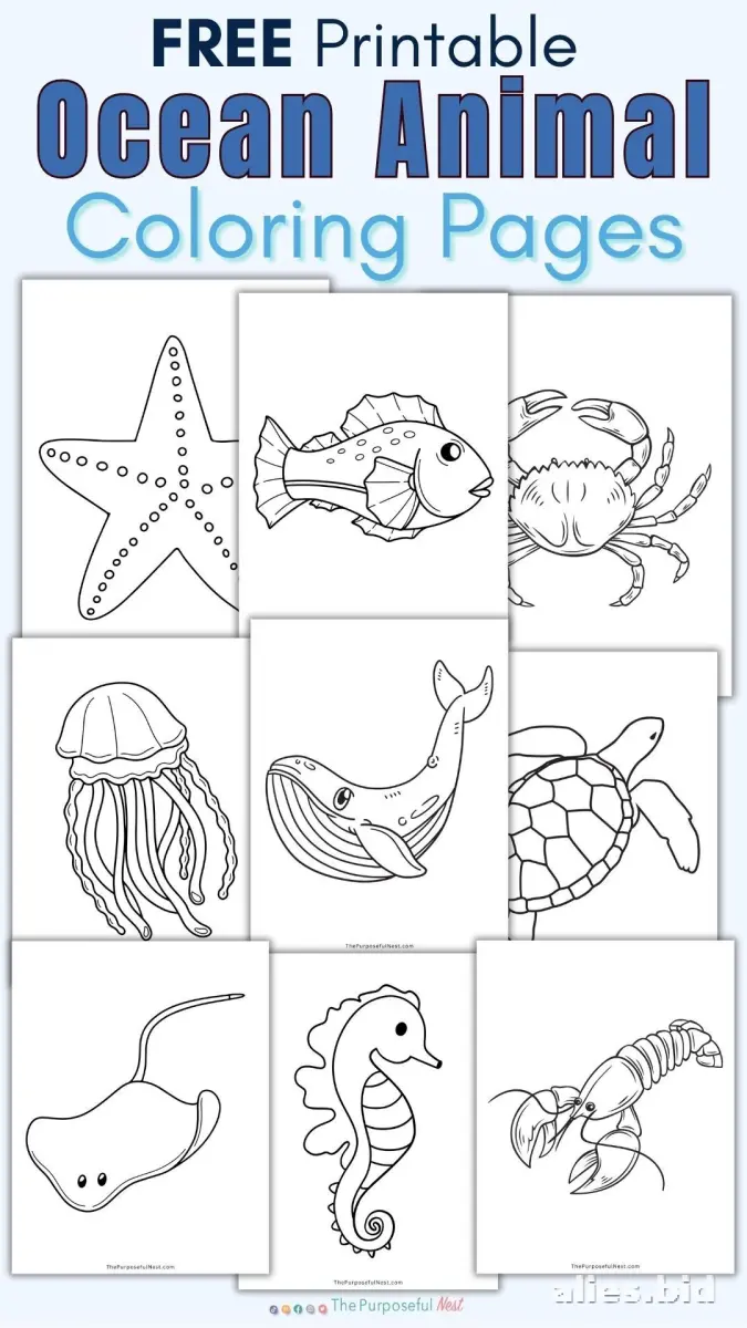 Free Printable Ocean Coloring Pages For Kids Free Worksheet #8