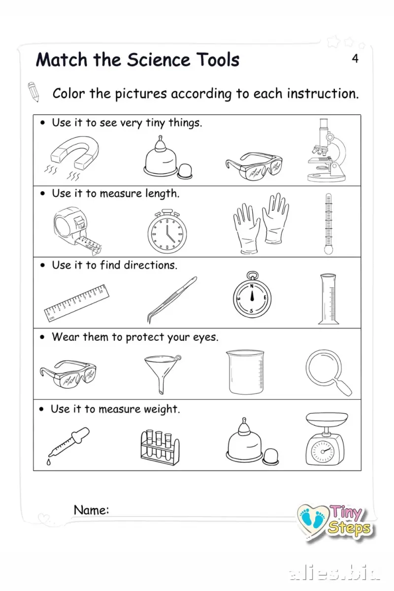 Free Printable Science Activity Sheet Free Worksheet #7