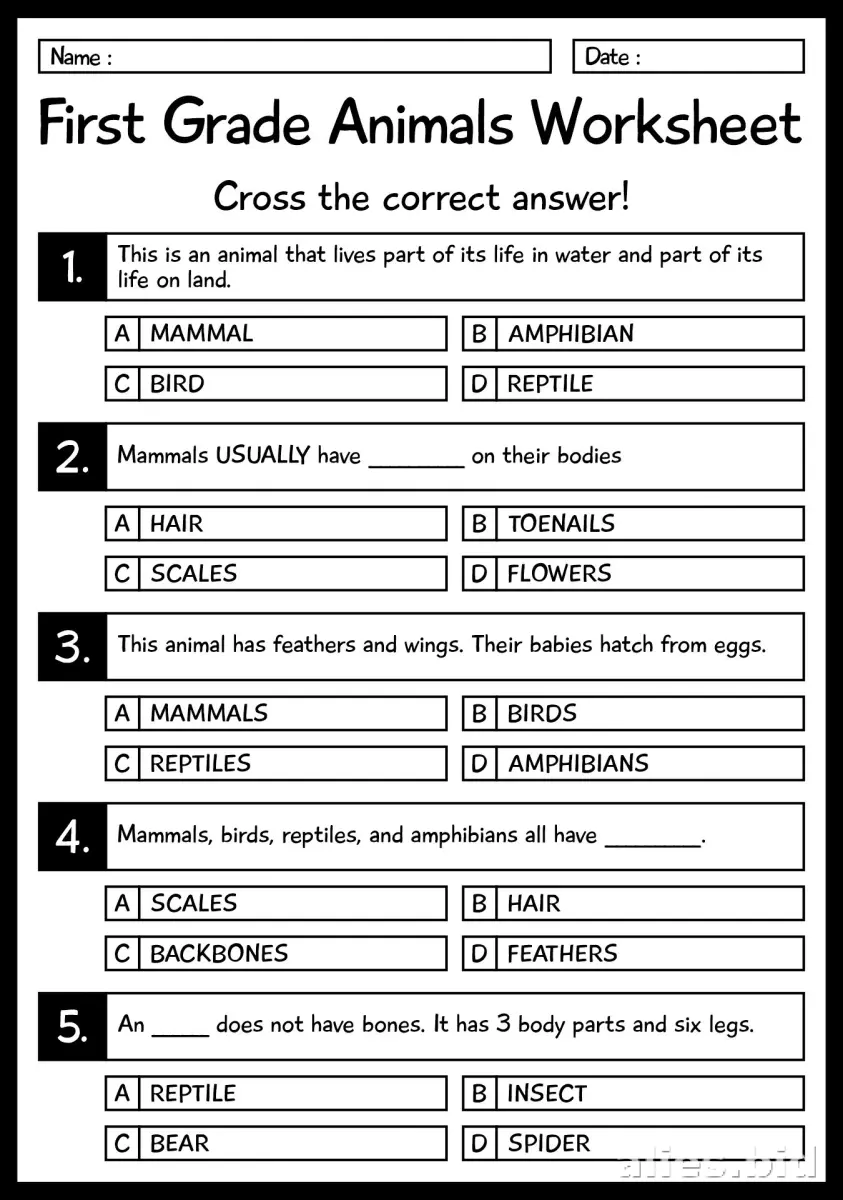 Free Printable Science Activity Sheet Free Worksheet #4