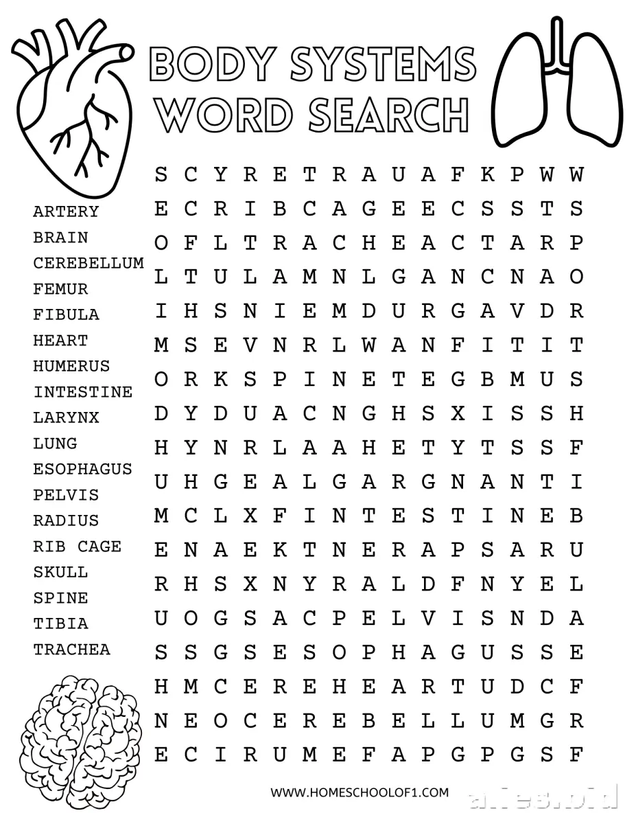 Free Printable Science Activity Sheet Free Worksheet #9