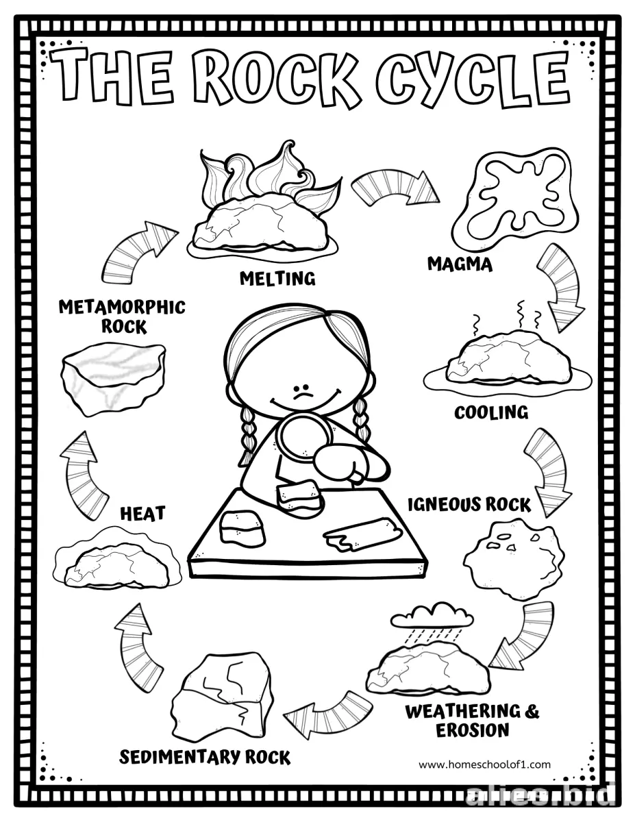 Free Printable Science Activity Sheet Free Worksheet #14