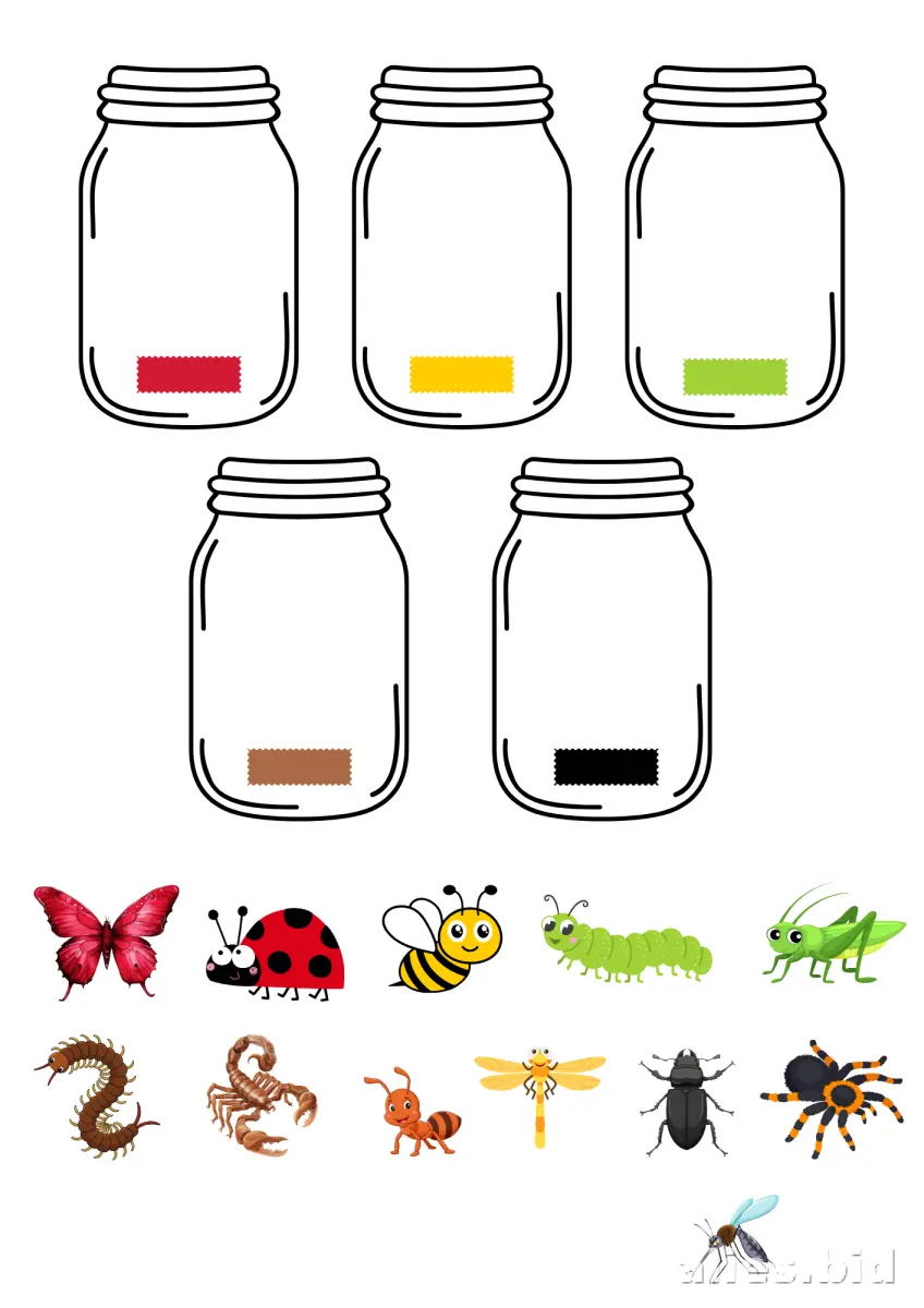 Free Printable Sorting Activity Sheet For Kids Worksheet #7