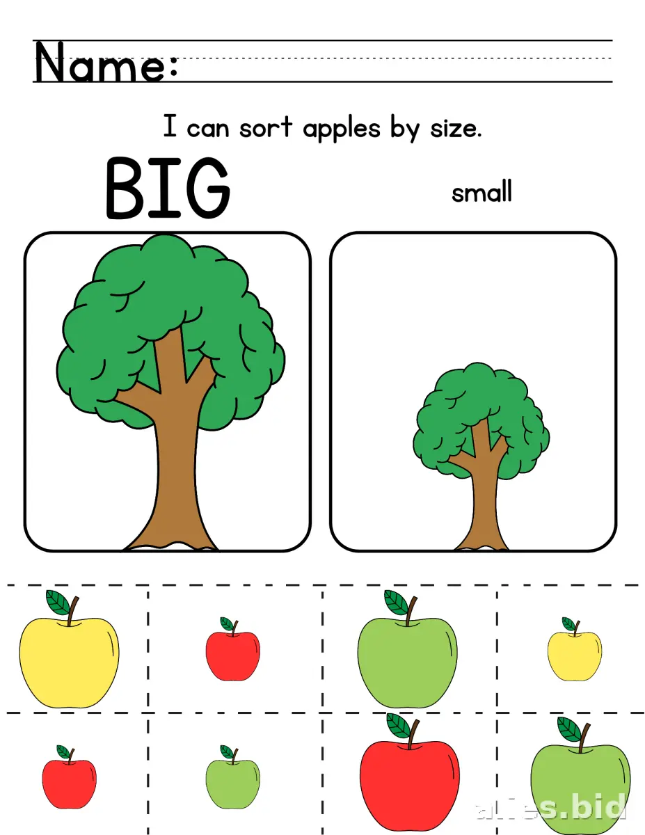 Free Printable Sorting Activity Sheet For Kids Worksheet #14