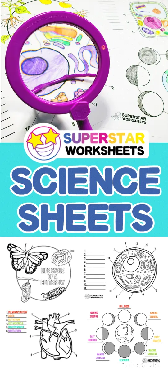 Free Printable Stem Worksheet For Kids Free #3