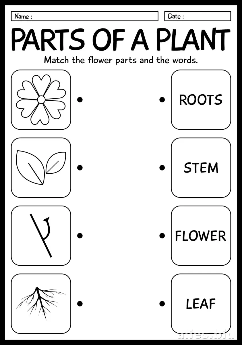 Free Printable Stem Worksheet For Kids Free #19