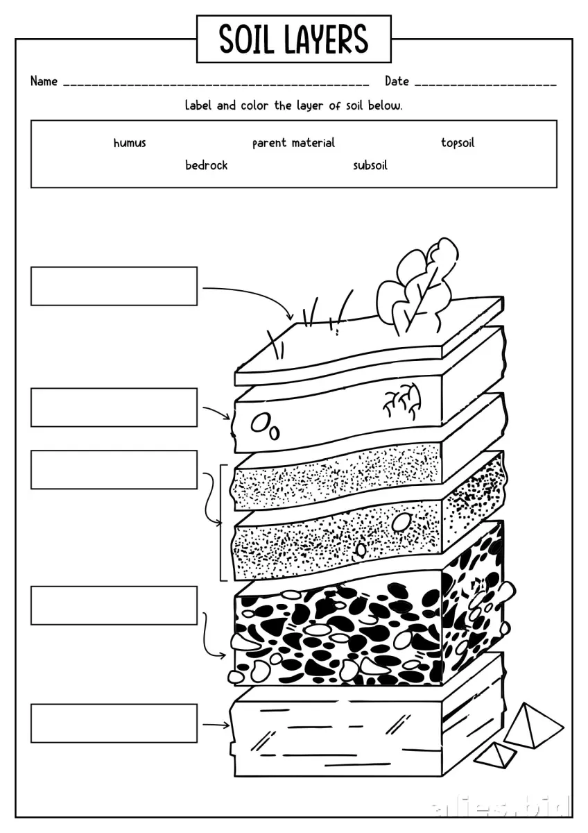 Free Printable Stem Worksheet For Kids Free #15