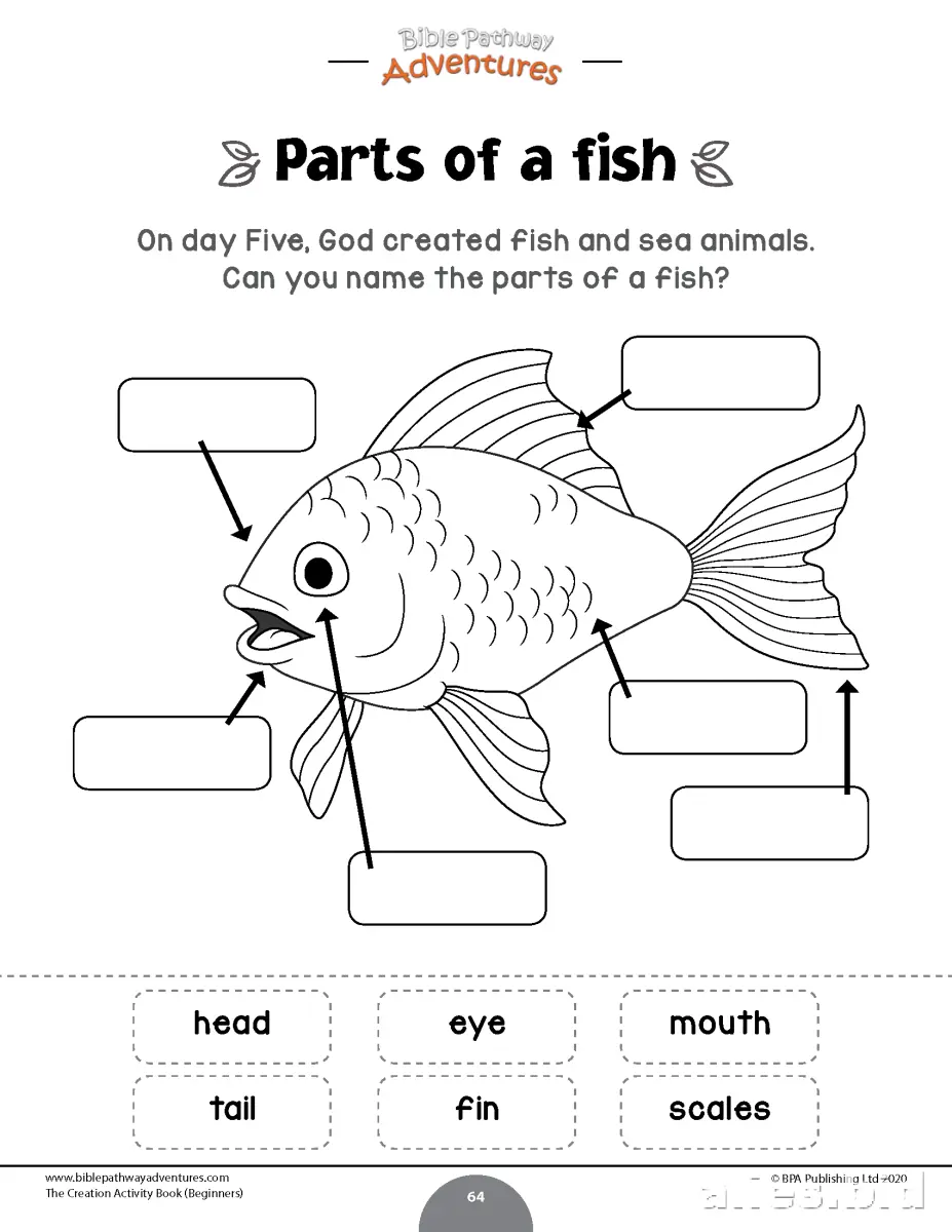 Free Printable Stem Worksheet For Kids Free #18